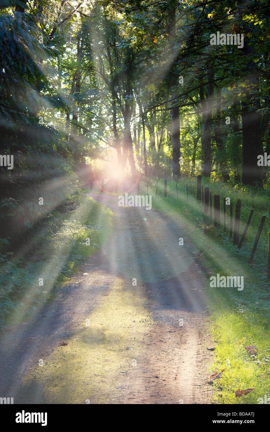 Camminare per strada di un paese in sole di setting, raggi di luce e lens flare Foto Stock