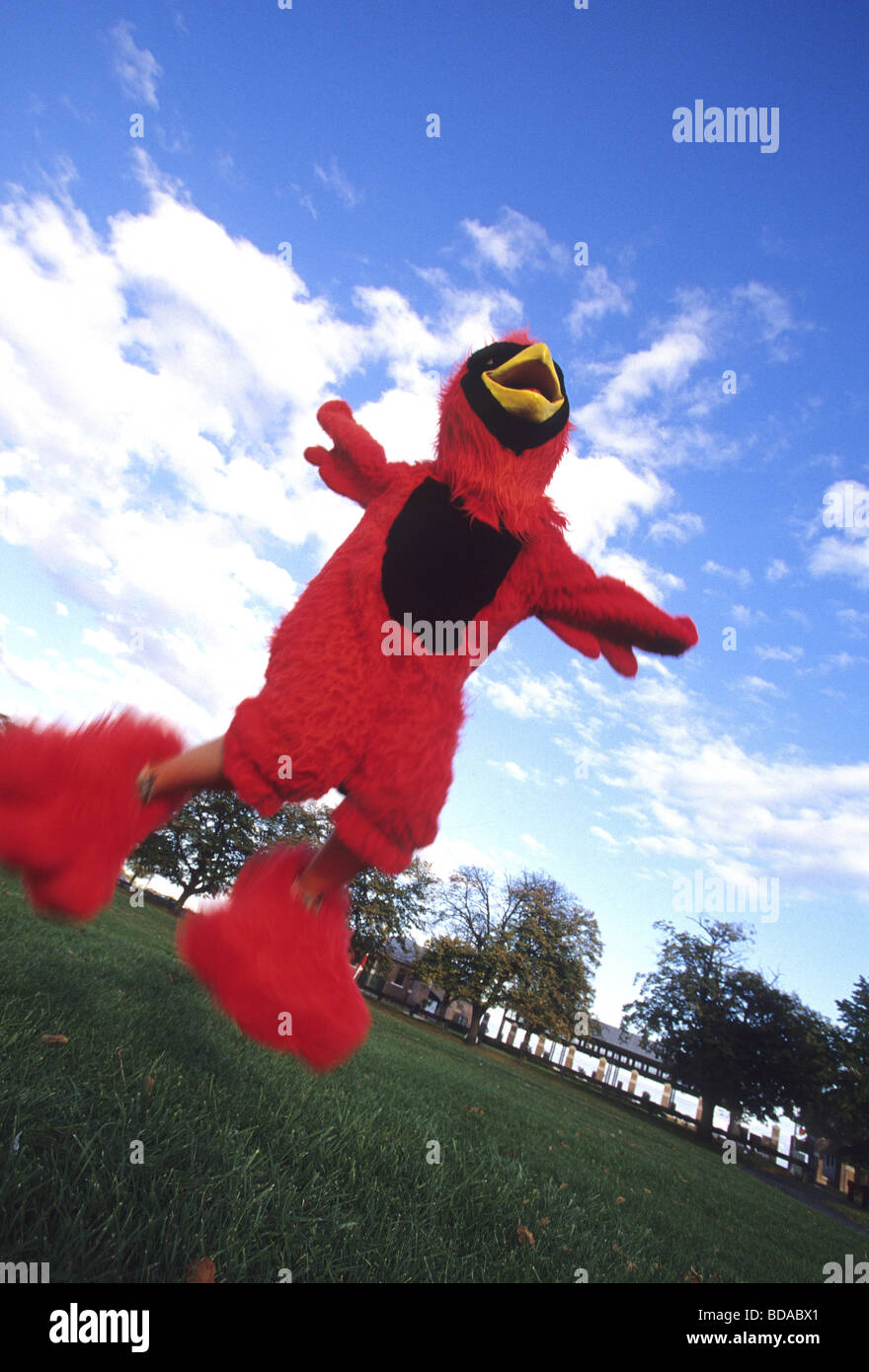 Mascotte della squadra Foto Stock