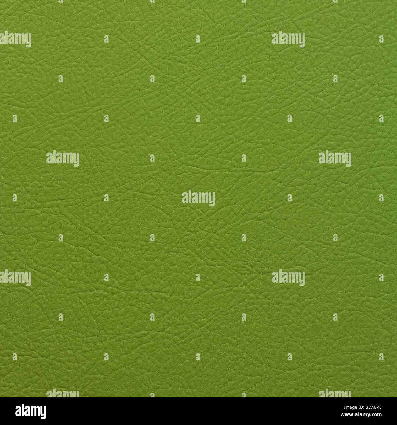Pelle verde sullo sfondo Foto Stock