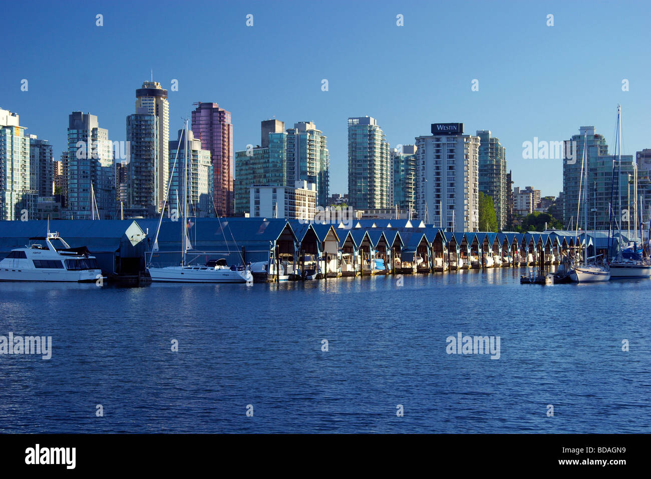 Righe di oggetto imbarcazioni, il Coal Harbour, Vancouver, come si vede da Stanley Park Foto Stock