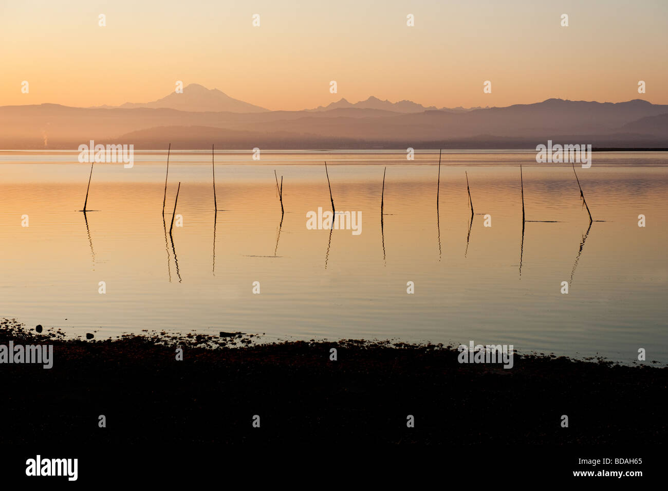 Un vecchio pesce Salmone trappola visto sul Lummi indiano prenotazione. Bellingham e Mt. Baker può essere visto in background. Sunrise. Foto Stock