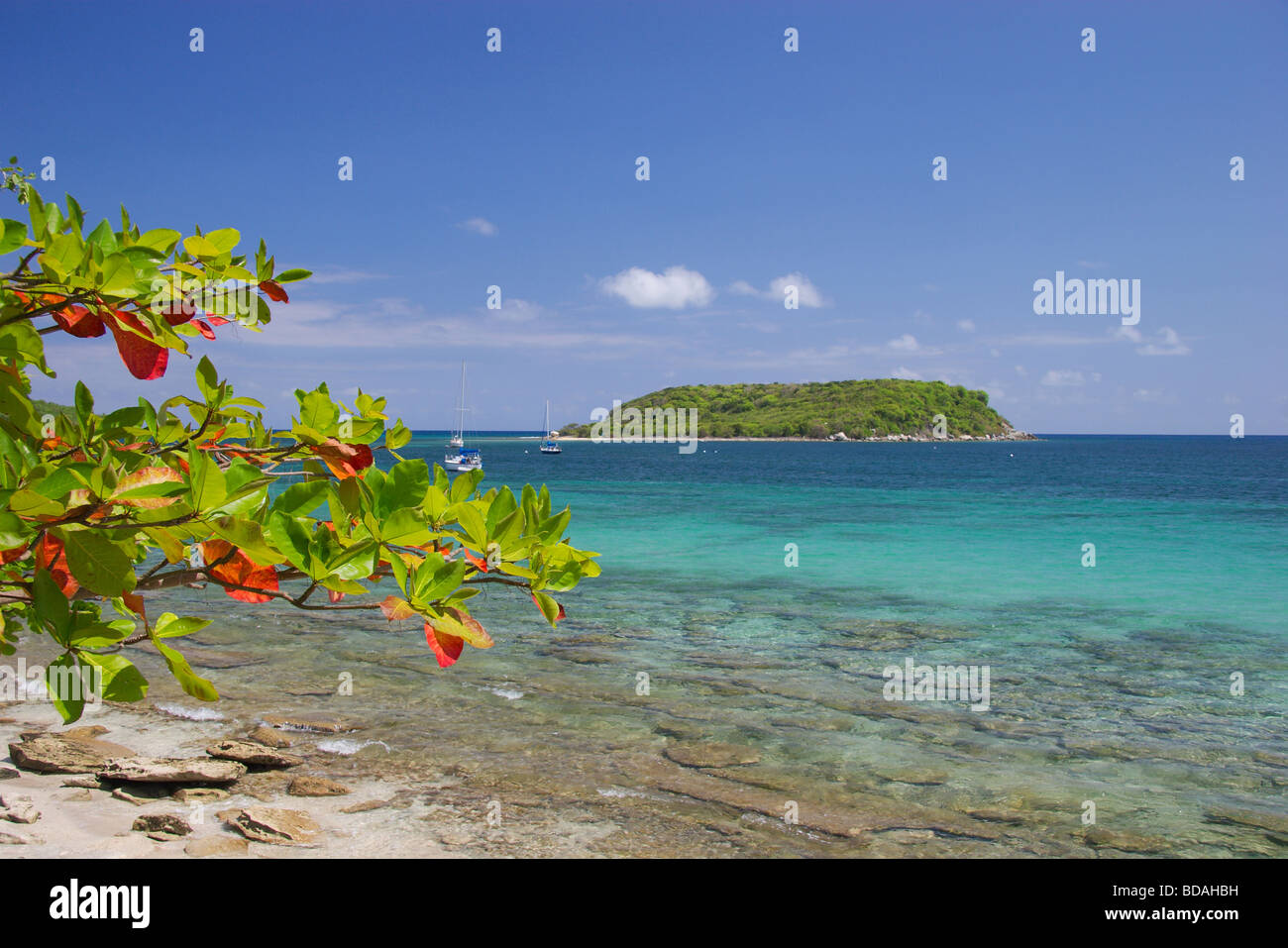 Colorata spiaggia tropicale presso la città di esperenza, isola Vieques, Puerto Rico Foto Stock