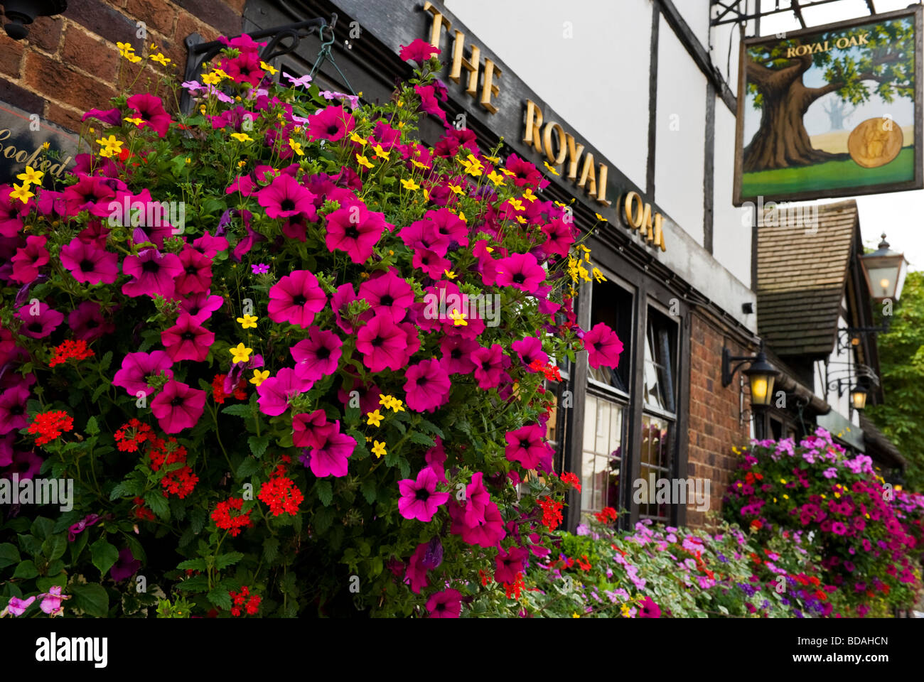 Appeso un cesto di fiori al di fuori del Royal Oak Pub in Windsor Foto Stock