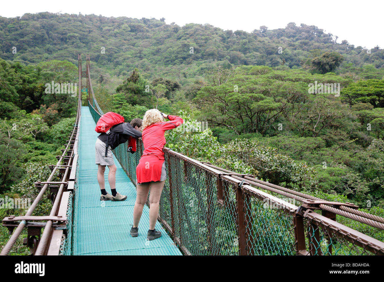 Costa Rica Monteverde Cloud Forest National Park foresta pluviale tropicale escursionisti lungo il cielo elevata a piedi central america latina Foto Stock