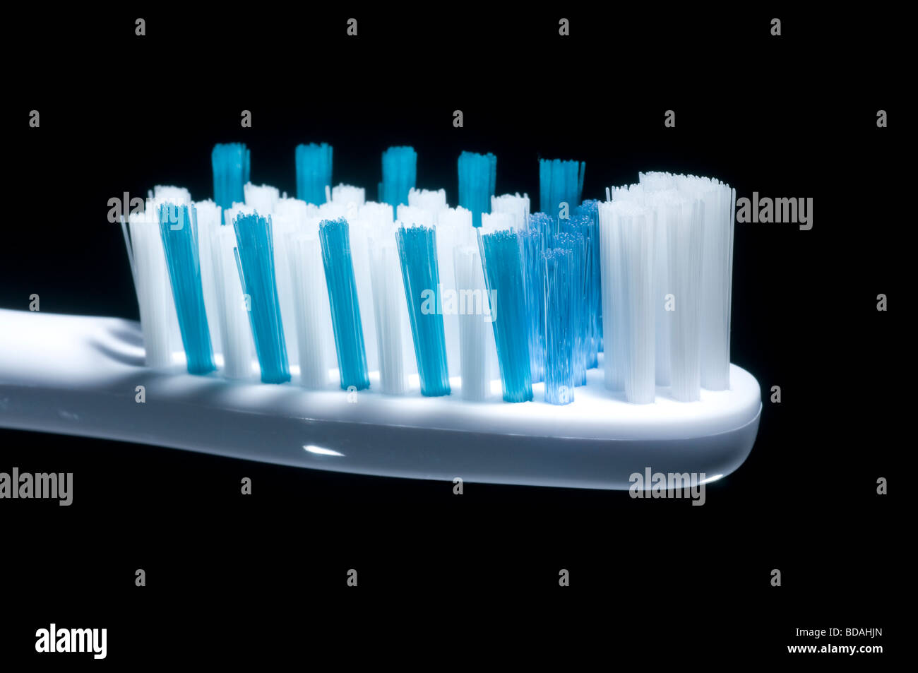 Le setole di uno spazzolino da denti Foto Stock