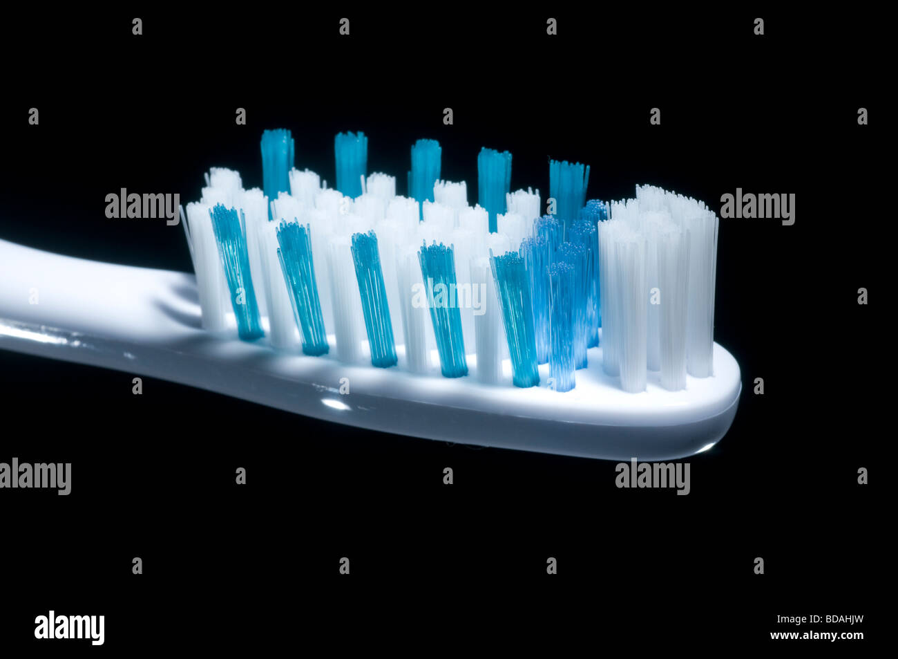 Le setole di uno spazzolino da denti Foto Stock