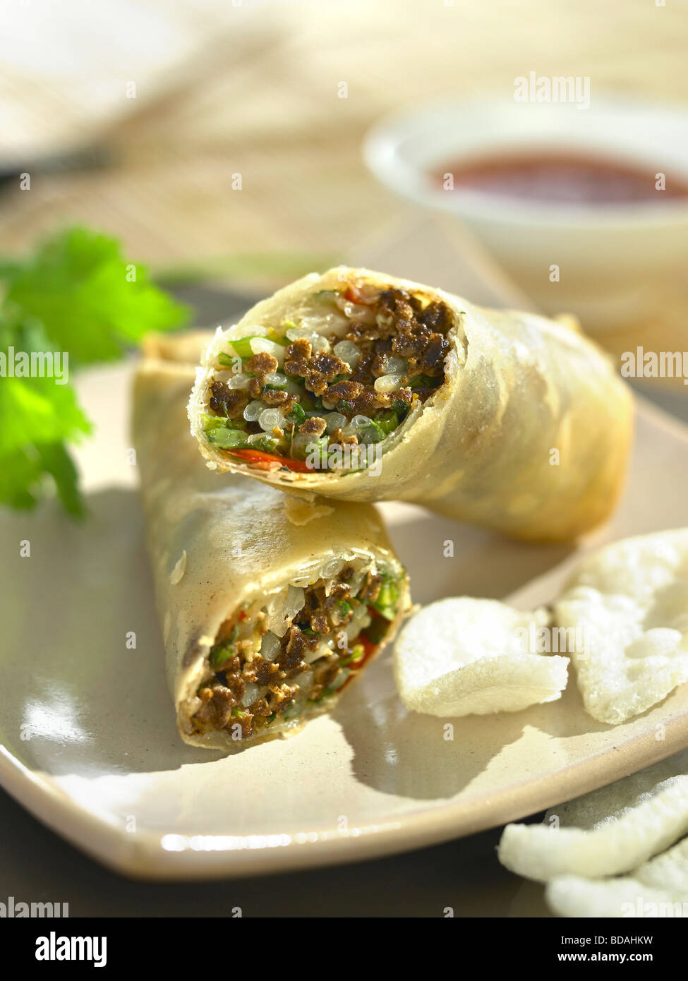 Vegetariano spring roll Foto Stock