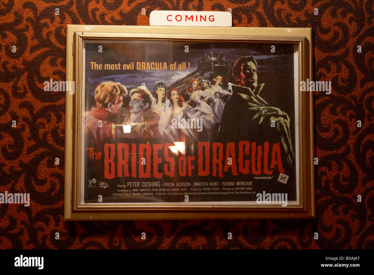 Vecchio cinquanta b movie poster per le spose di dracula all'interno della hall del tudor cinema privato in pettinatore Foto Stock