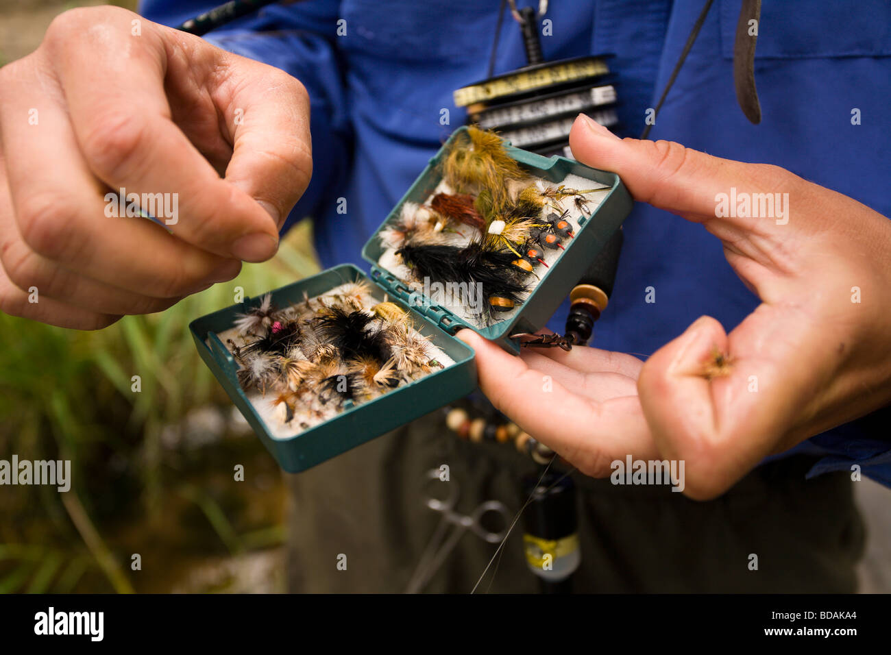 Dettagli della mano-legato vola in una fly box di un pescatore a mosca come egli si prepara a pescare in un vapore in prossimità di Estes Park, Colorado. Foto Stock