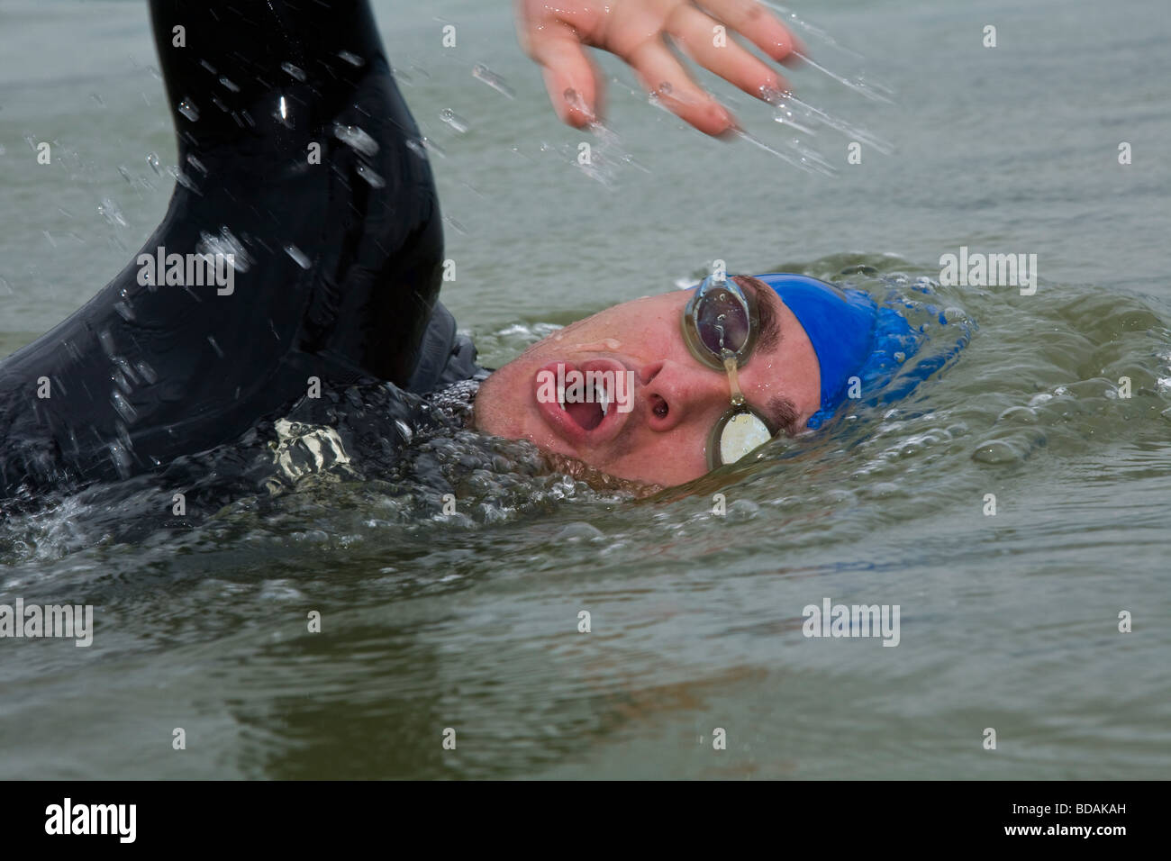 Triatleta di nuoto nel serbatoio di Boulder in Boulder, CO Foto Stock