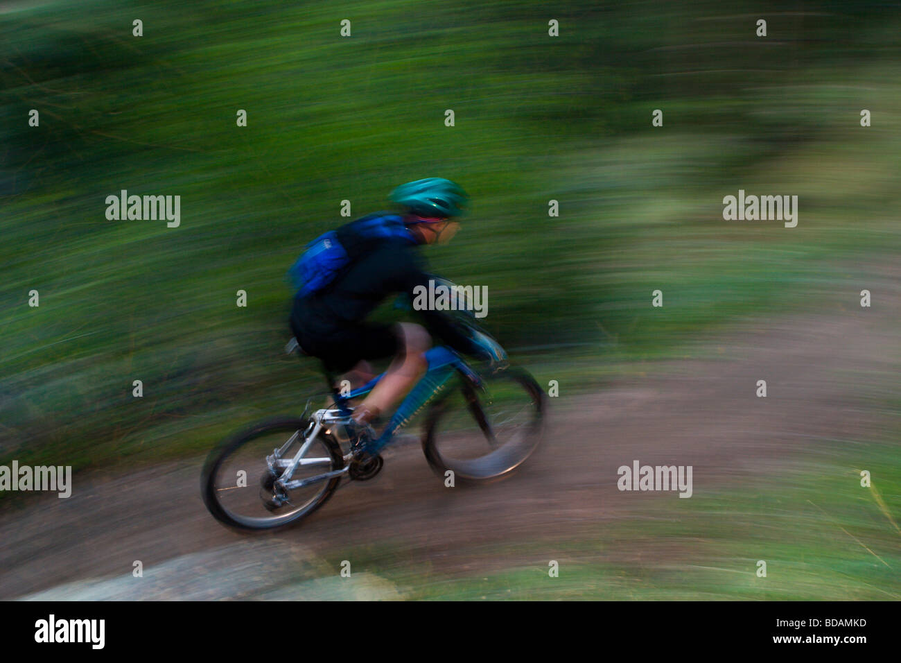 Gli amanti della mountain bike a cavallo attraverso sentieri fangosi nel Canyon di Lefthand vicino a Boulder, Colorado Foto Stock