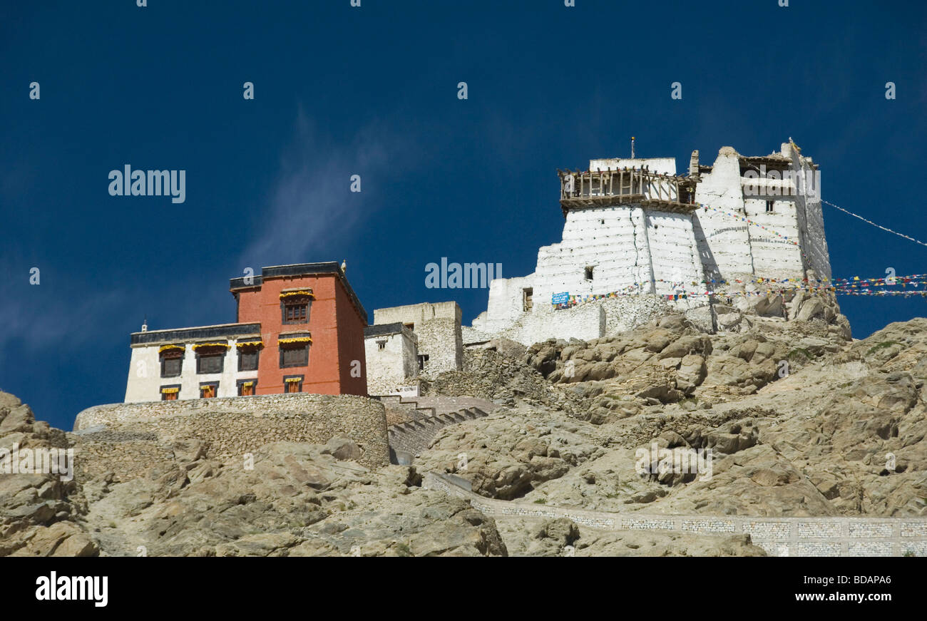 Fort e gompa su una collina, vittoria Fort, Namgyal Tsemo Gompa, Leh, Ladakh, Jammu e Kashmir India Foto Stock