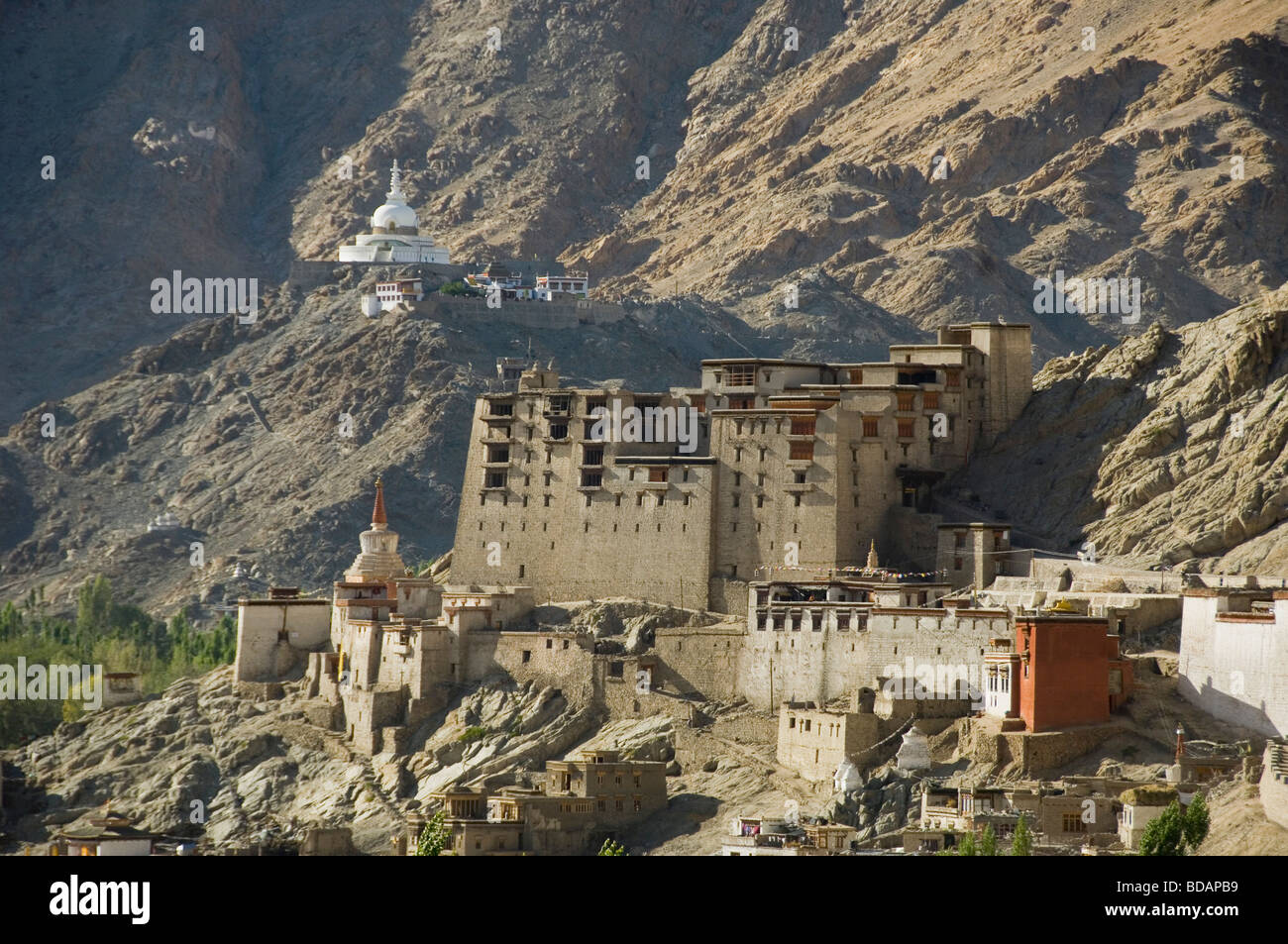 Palazzo su una collina, Leh Palace, Leh, Ladakh, Jammu e Kashmir India Foto Stock