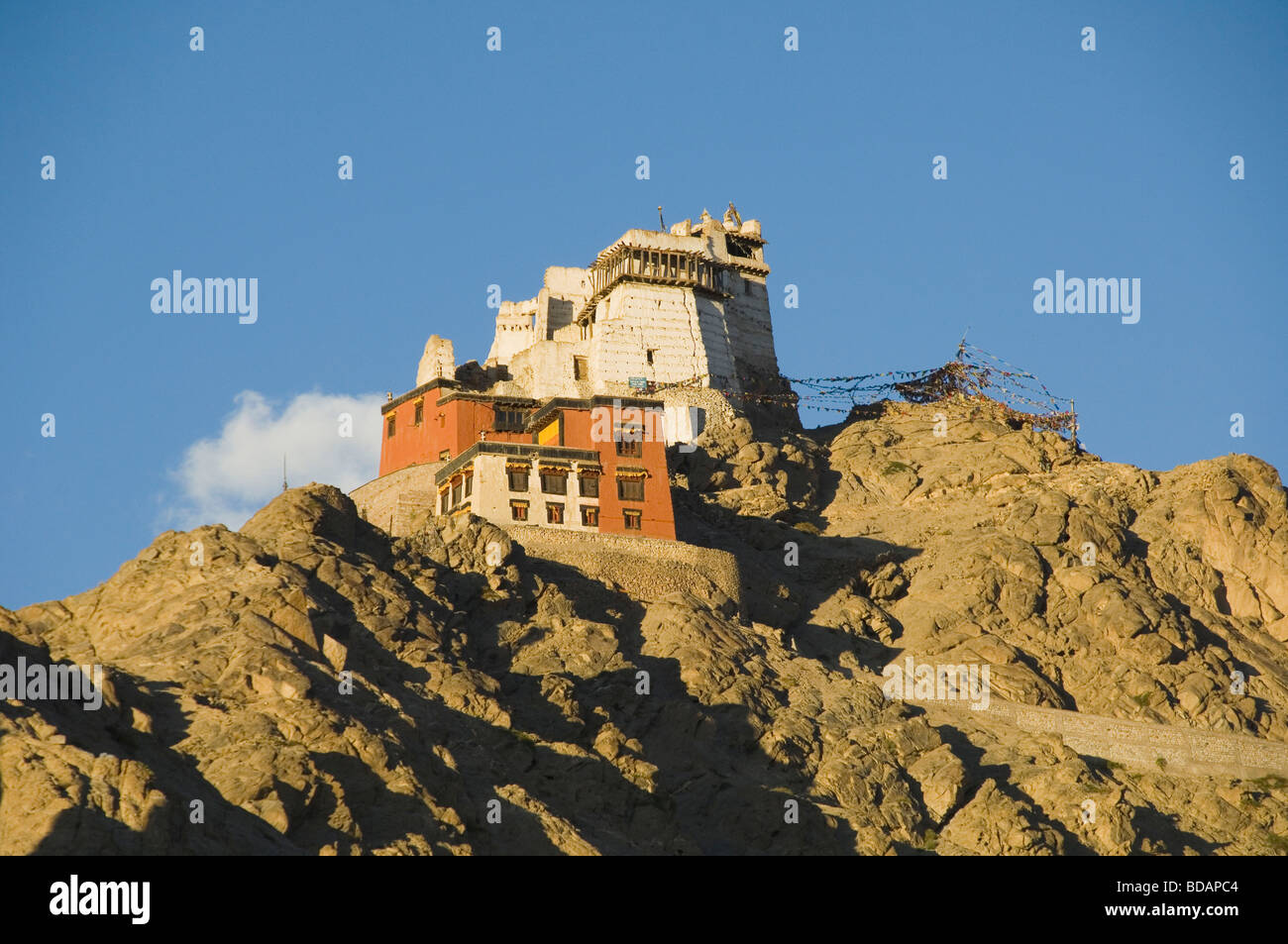 Fort e gompa su una collina, vittoria Fort, Namgyal Tsemo Gompa, Leh, Ladakh, Jammu e Kashmir India Foto Stock