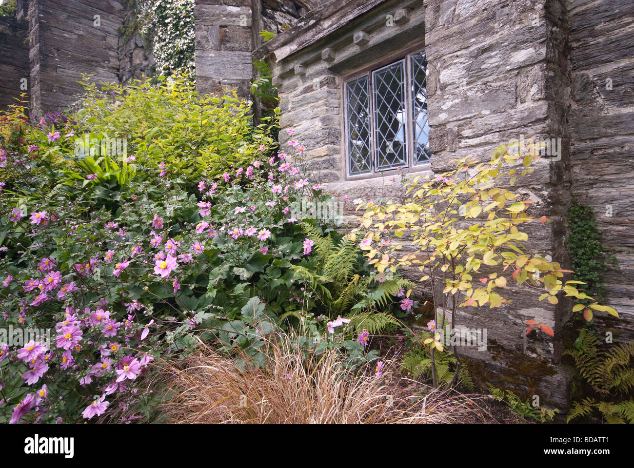 Plas Tan y Bwlch Gardens Foto Stock