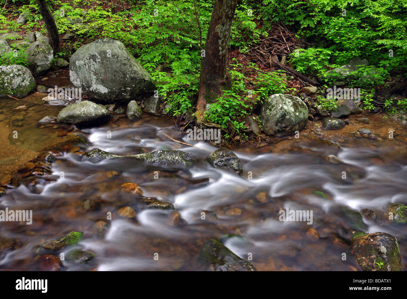 Hughes fiume nel Shenandoah National Forest accanto al vecchio Rag montagna in Madison County VA. Foto Stock