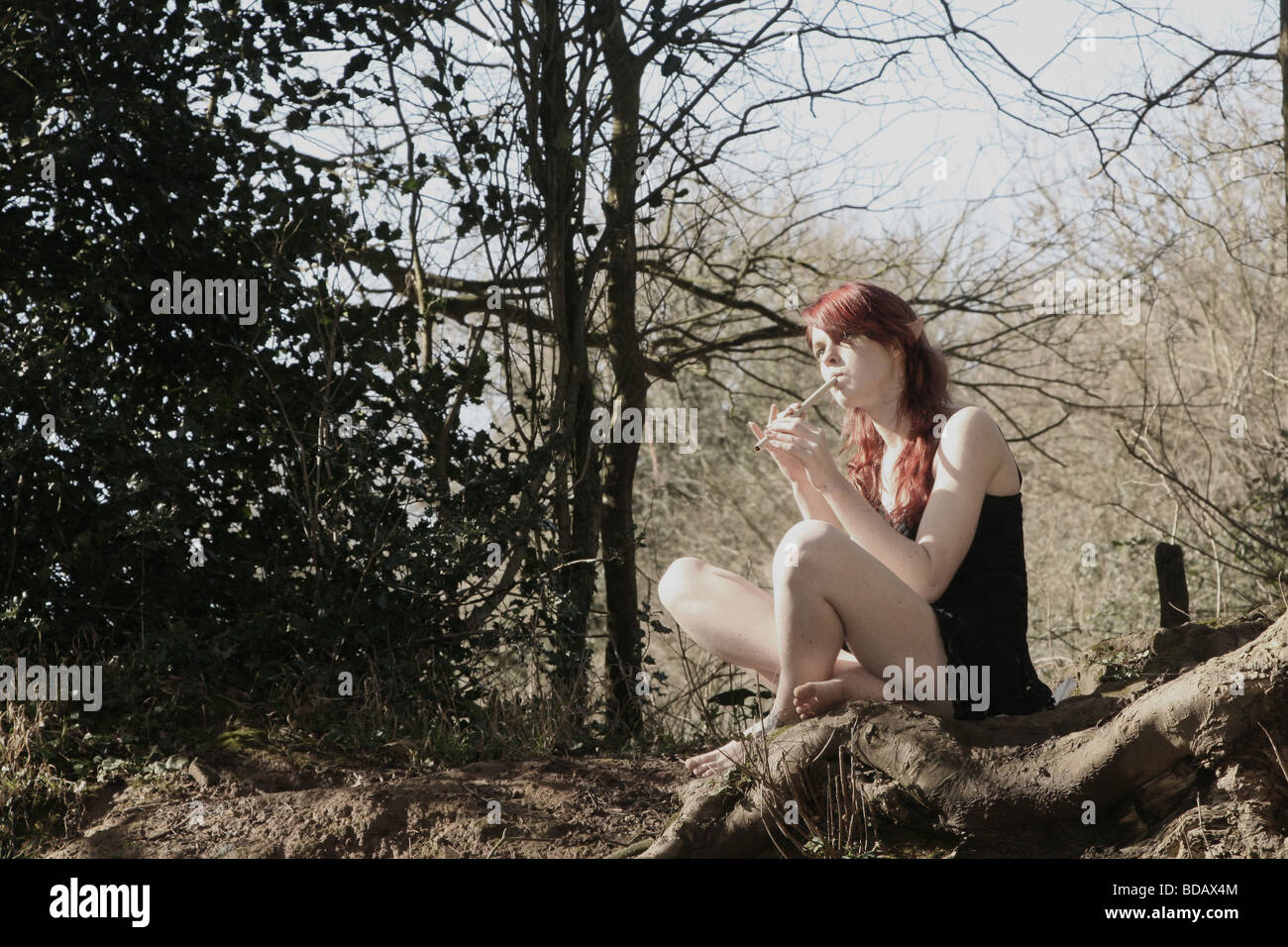 Fata seduta nel bosco radura Foto Stock