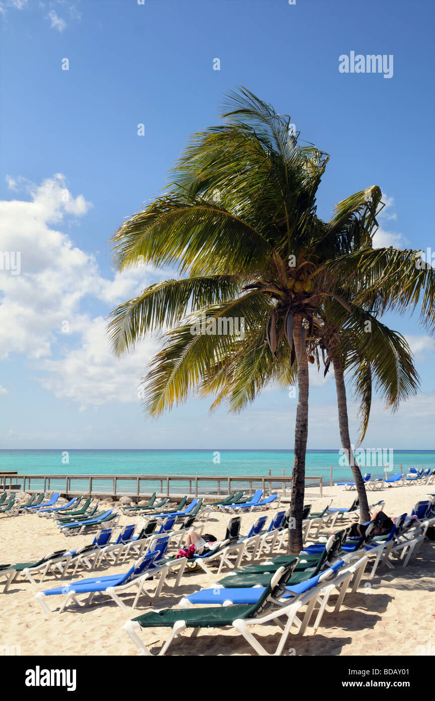 Destinazione turistica in Bahamas con la spiaggia e la palma da cocco Foto Stock