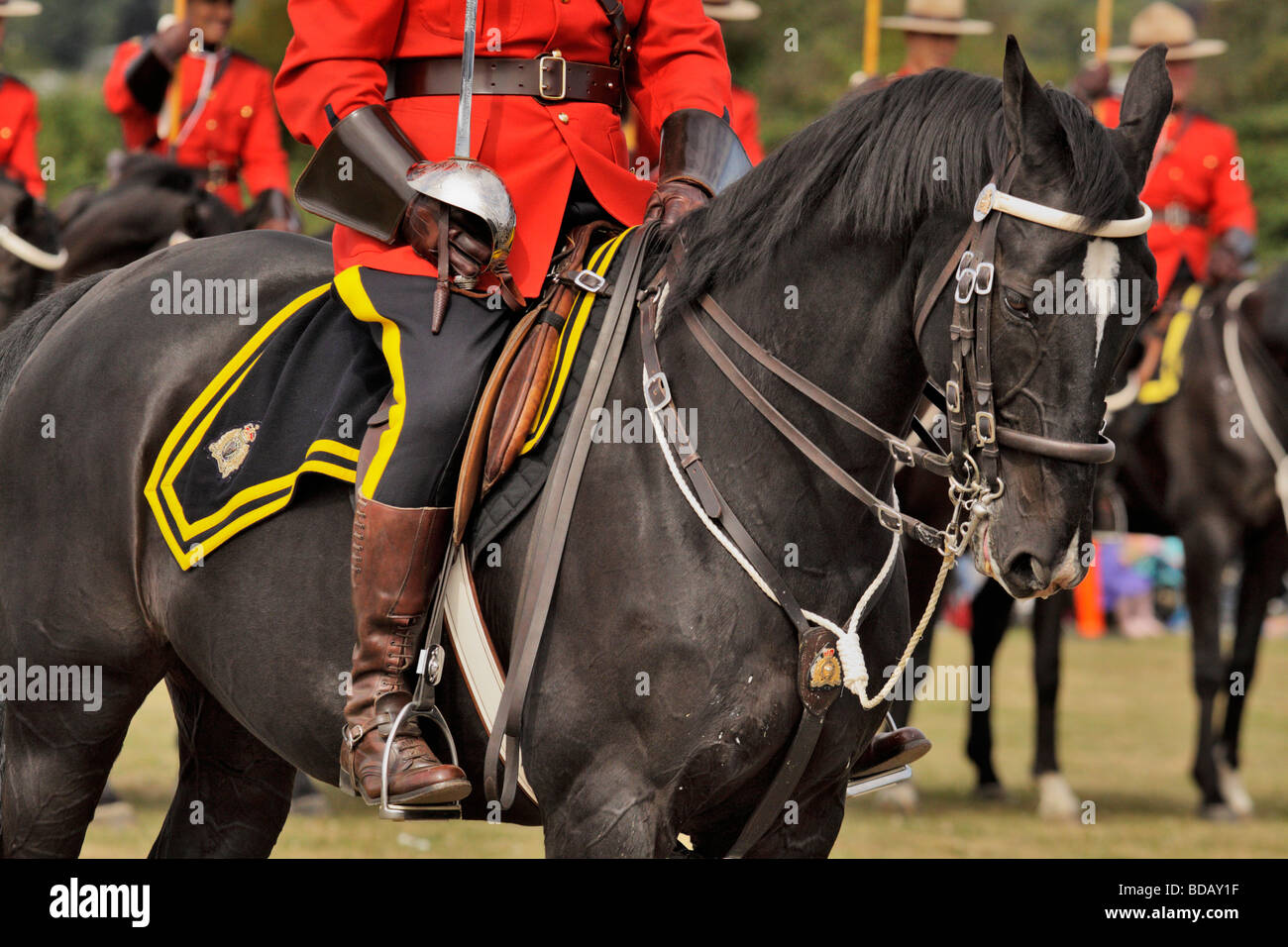 Royal Canadian polizia montata musical ride Victoria British Columbia Canada Foto Stock