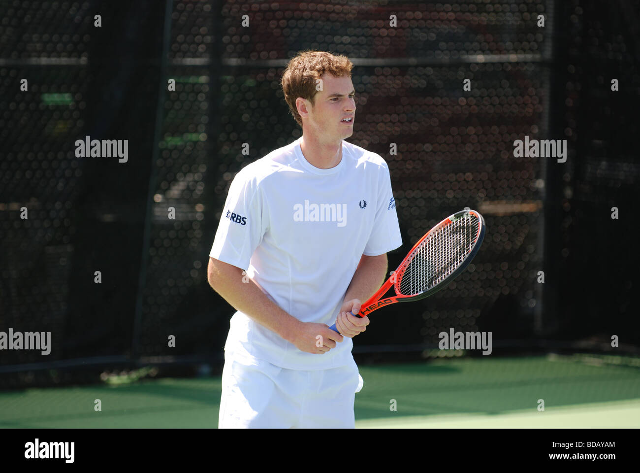 Andy Murray tennista professionale Foto Stock