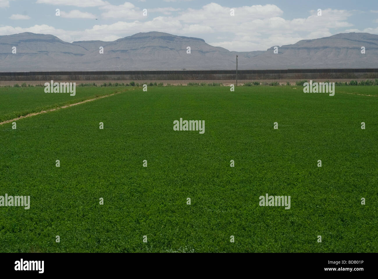 Segmento del muro di confine in Fort Hancock Texas costruito per vietare l'ingresso illegale di persone e il traffico di droga Foto Stock