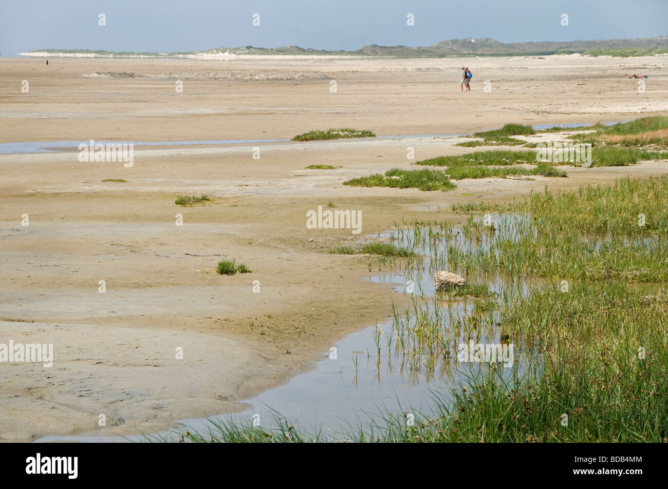 Terschelling ebb marea flusso spiaggia mare costa Paesi Bassi Foto Stock