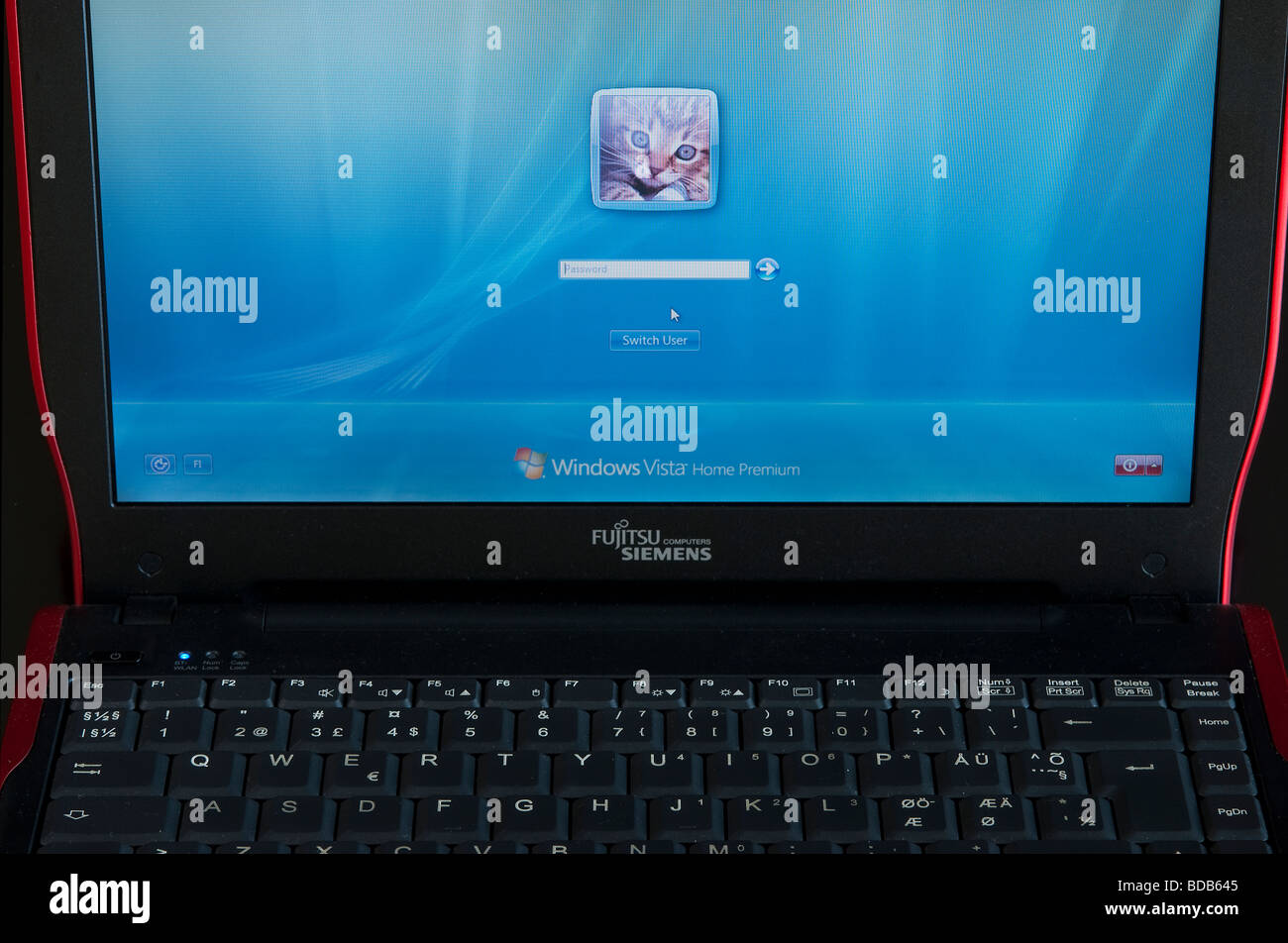 Close-up della schermata di login su un portatile con Windows Vista Foto Stock