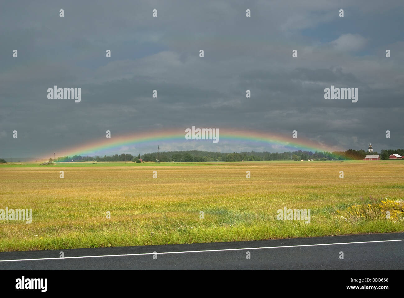 Rainbow su un giallo-verde campo di grano con un campanile di una chiesa e di edifici agricoli sulla destra Foto Stock