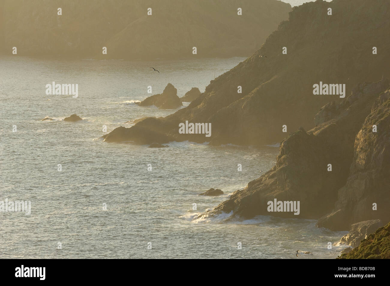 Costa frastagliata del Grand Greve al tramonto, nei pressi de La Coupée, Isola di Sark, Isole del Canale Foto Stock