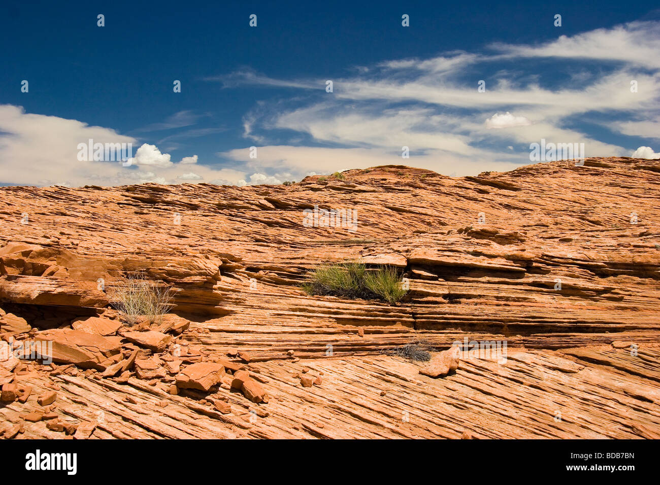 Pietrificate dune, USA Utah Foto Stock