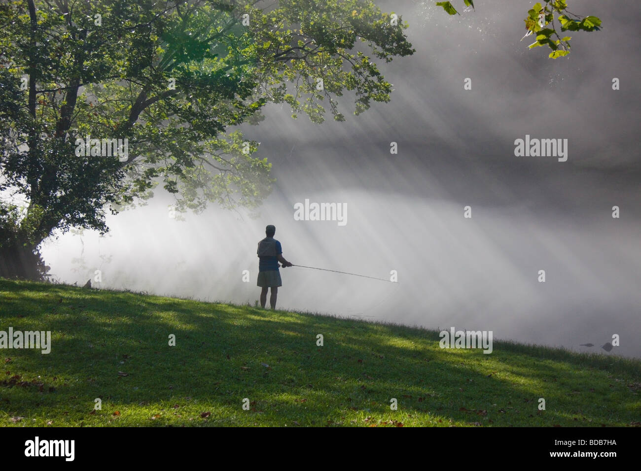 Pescatore a mosca con la nebbia mattutina e raggi di sole, sul fiume di Smith in Virginia, Stati Uniti d'America Foto Stock