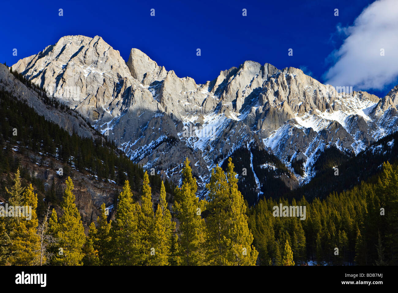 Montare Blane (2993 metri/9819 piedi) parte della gamma opale, Peter Lougheed Parco Provinciale, Kananaskis Country, Canadian Rocky M Foto Stock