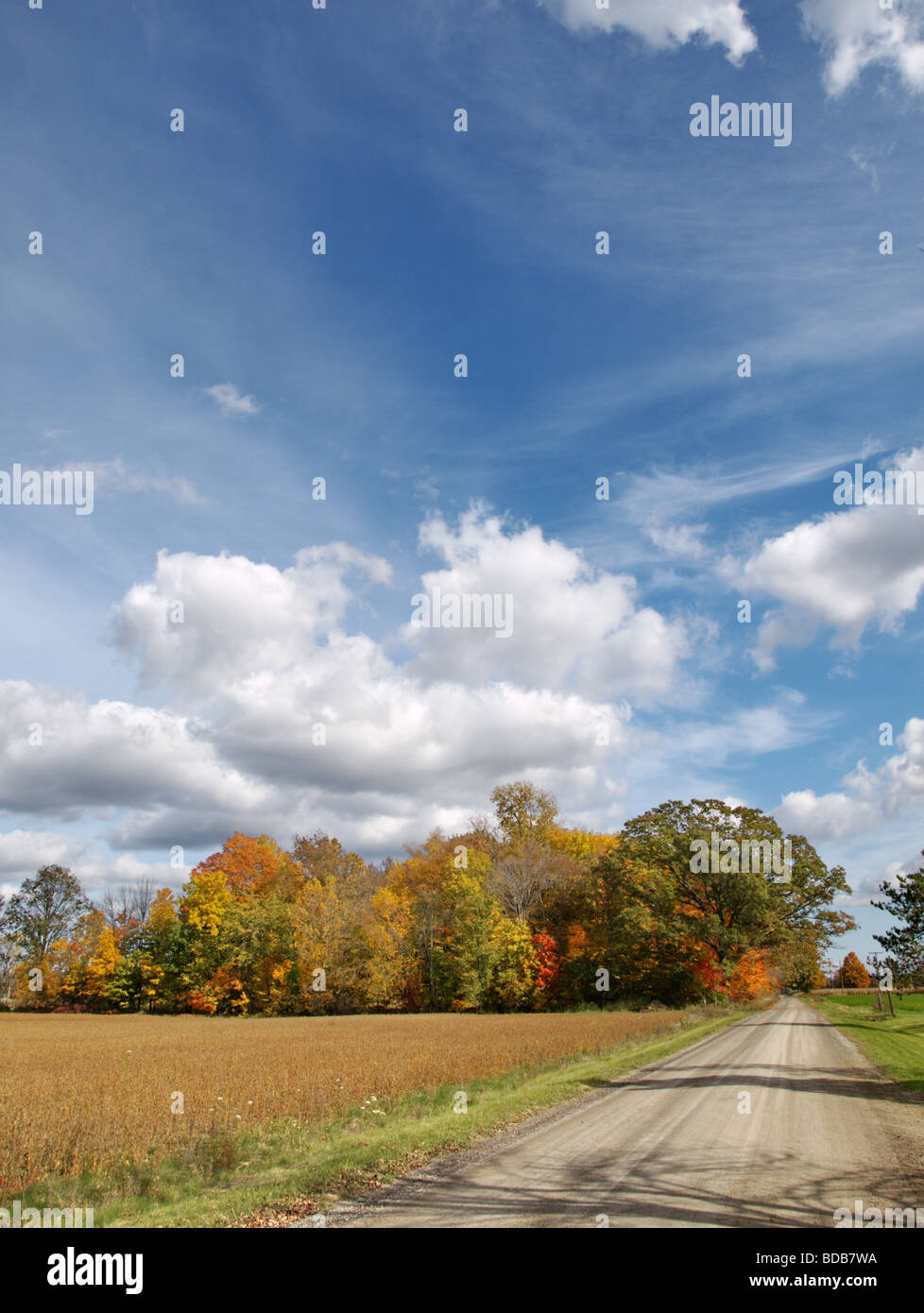 Strada di campagna in autunno bello alberi d'oro luminoso cielo blu con nuvole soffici, Foto Stock