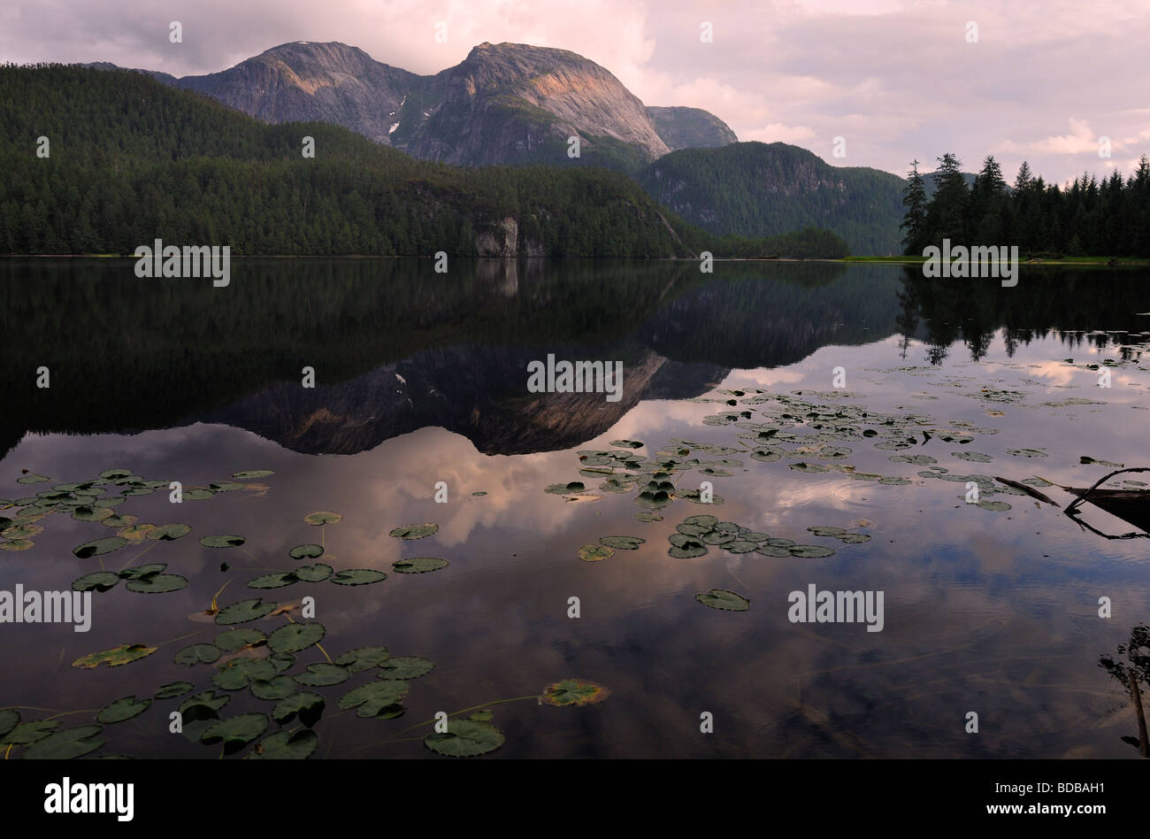 Ellerslie lago paesaggio al tramonto Foto Stock