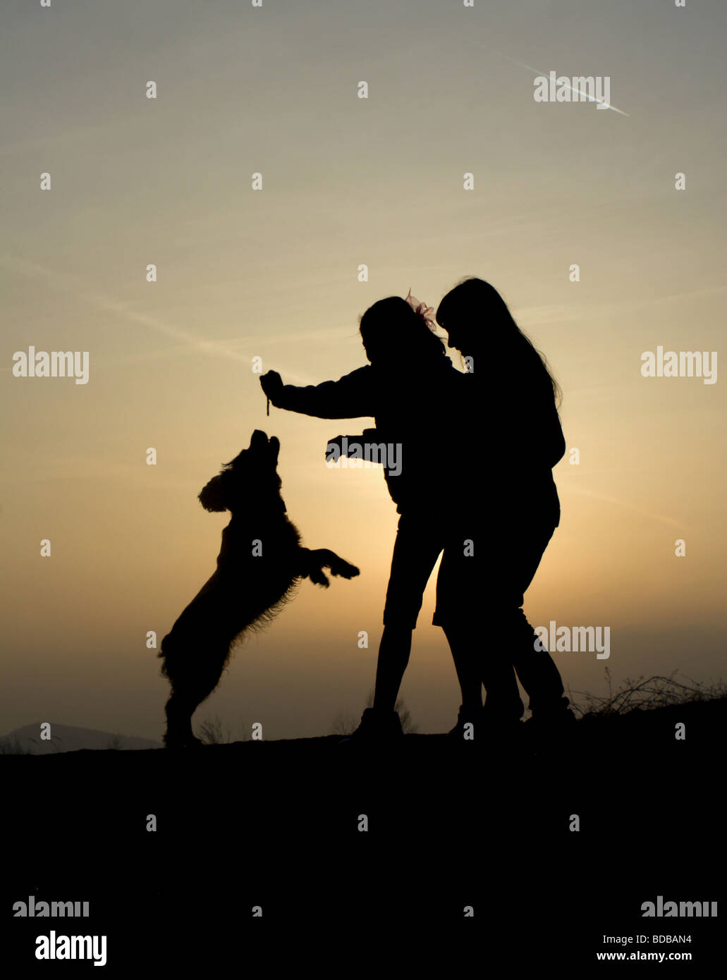 Giocare con il cane nel tramonto - silhouette Foto Stock