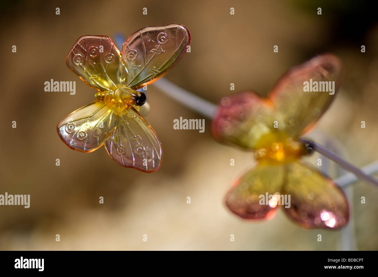 Illuminato farfalle in plastica alimentata da un pannello solare Foto Stock