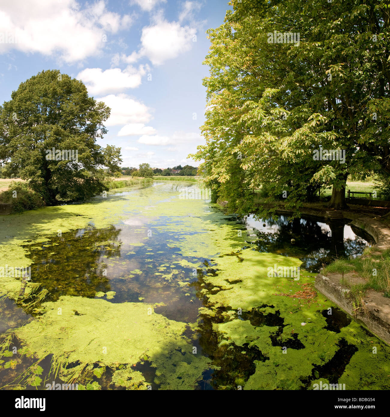Il vecchio luogo di nuoto; Vittoriano zona di balneazione nel fiume Stour sul comune di Sudbury, Suffolk, Inghilterra Foto Stock