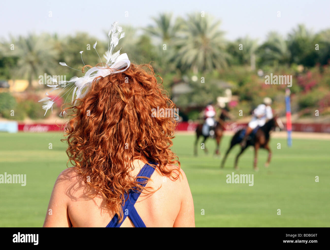 Donna guardando una partita di polo, Dubai, Emirati Arabi Uniti Foto Stock