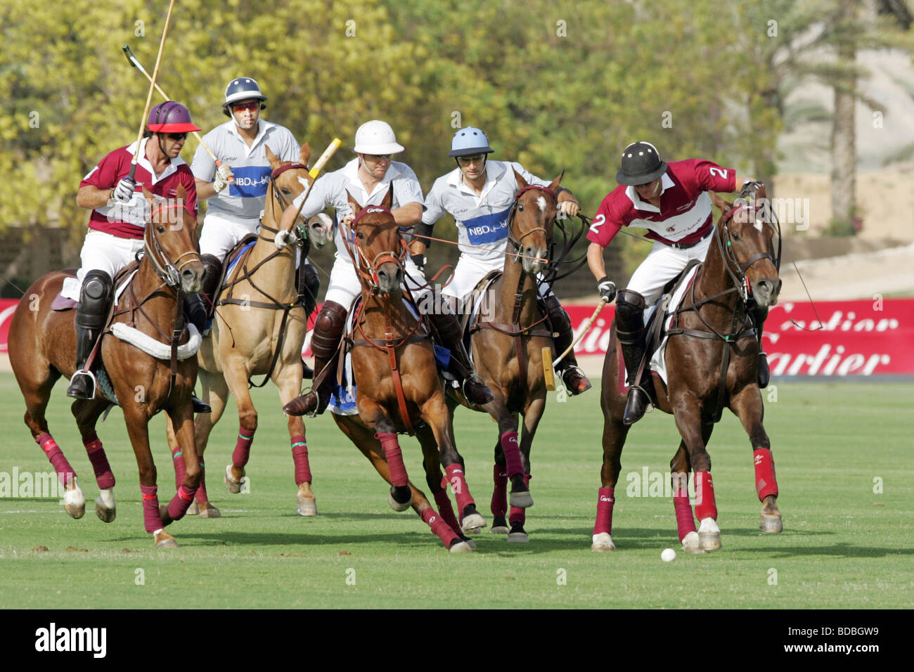 Partita di Polo durante il carter International Dubai Polo Challenge 2007, Emirati Arabi Uniti Foto Stock