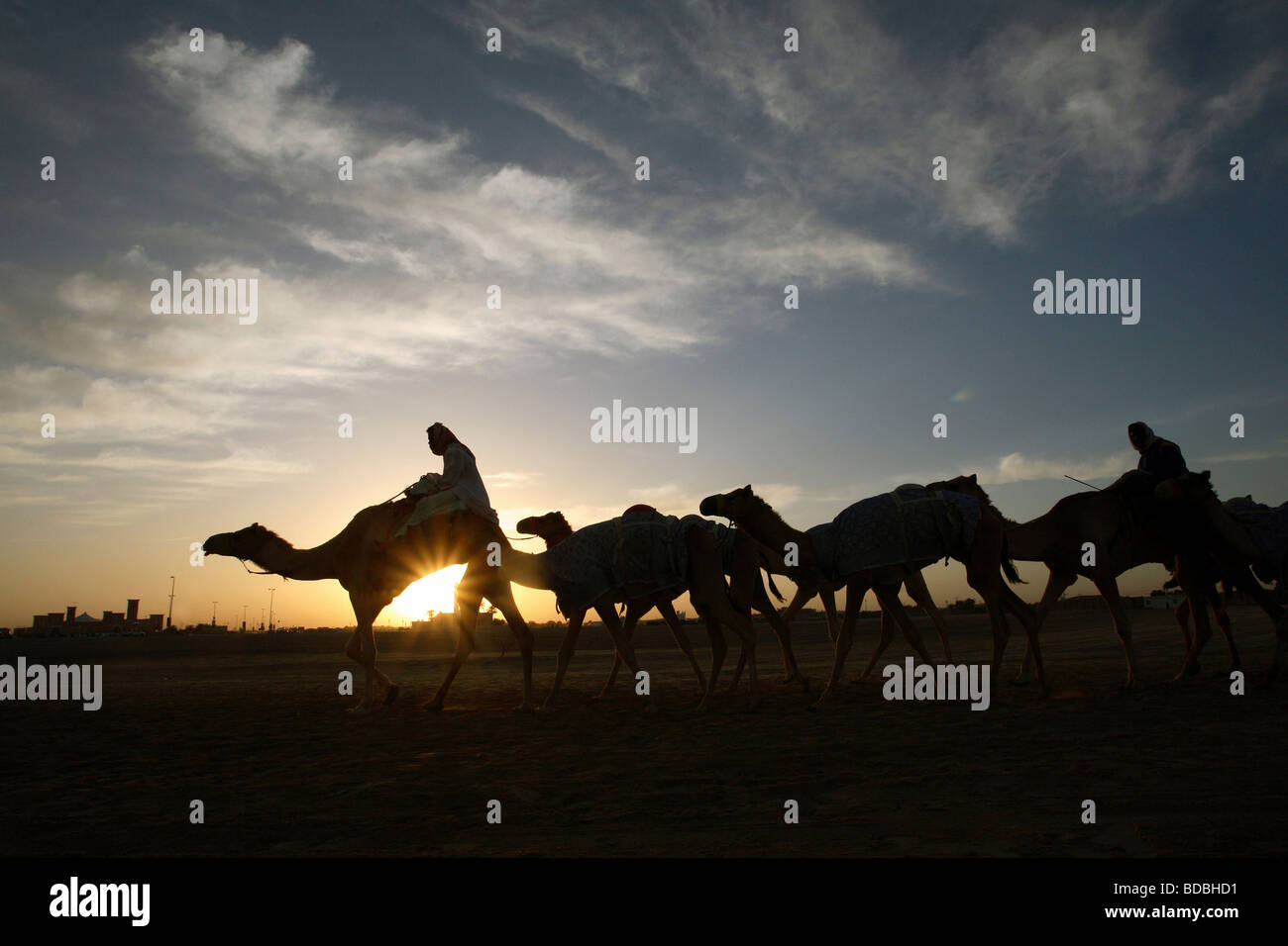 L'uomo conduce una carovana attraverso il deserto all'alba Foto Stock