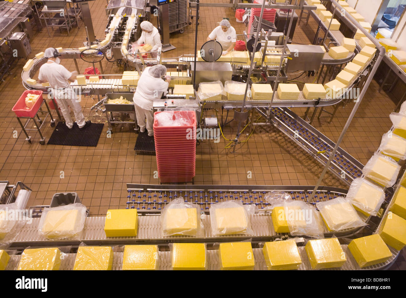 Le donne sulla linea di produzione rendendo il formaggio cheddar a Tillamook fabbrica di formaggio in Tillamook Oregon Foto Stock