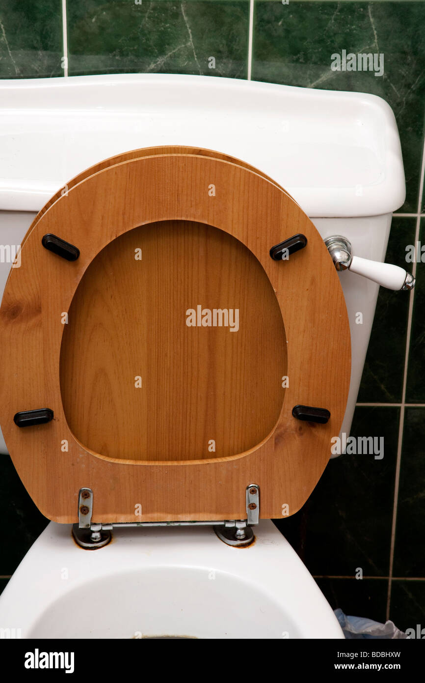 Sedile da water sollevato Foto Stock