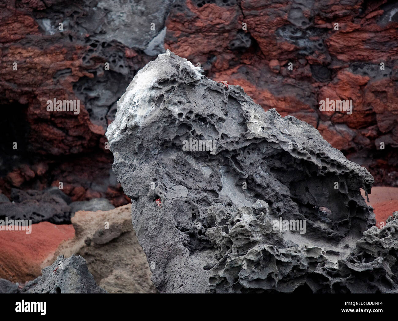 Ricche di ferro e depositi nella roccia vulcanica dare la costa di Bartolome una ricca, colore rosso. Foto Stock