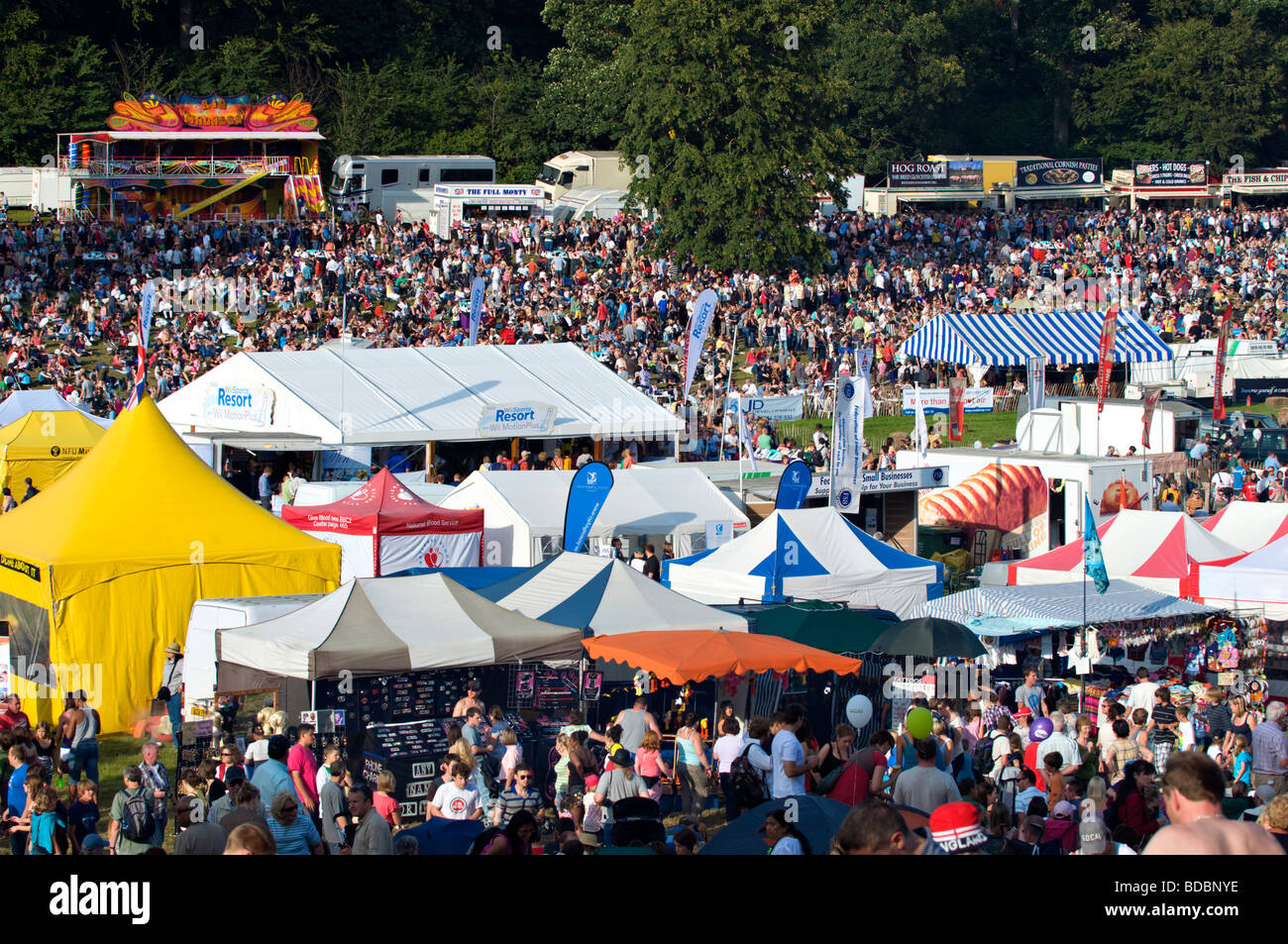 In generale la scena folla al Bristol Balloon Fiesta Foto Stock