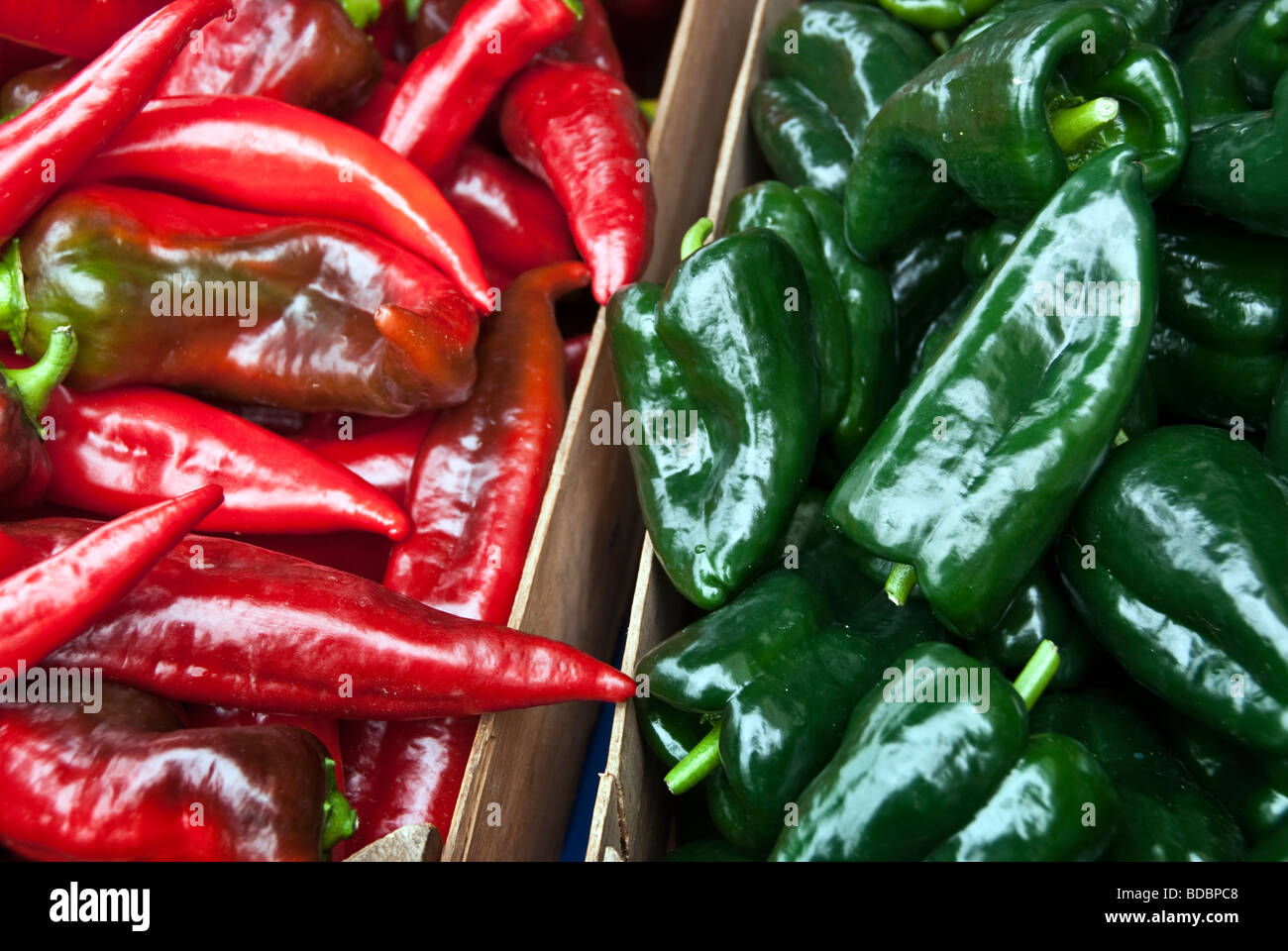 Splendidamente colorati di rosso caldo & peperoncini verdi visualizzati in vendita presso gli agricoltori green market Bellingham Washington Foto Stock