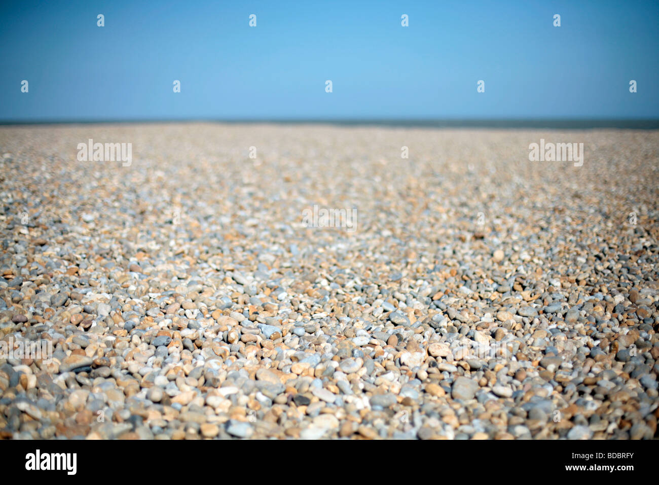 La spiaggia di ciottoli e cielo blu. Foto Stock