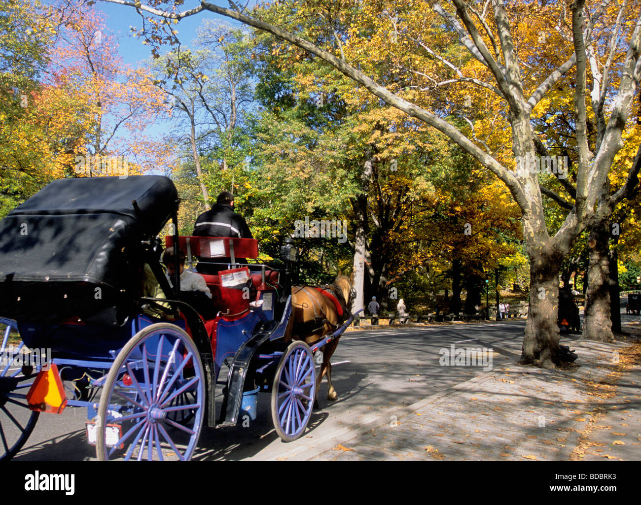 New York City Central Park Hansom Cab cavallo e Buggy in autunno Foto Stock