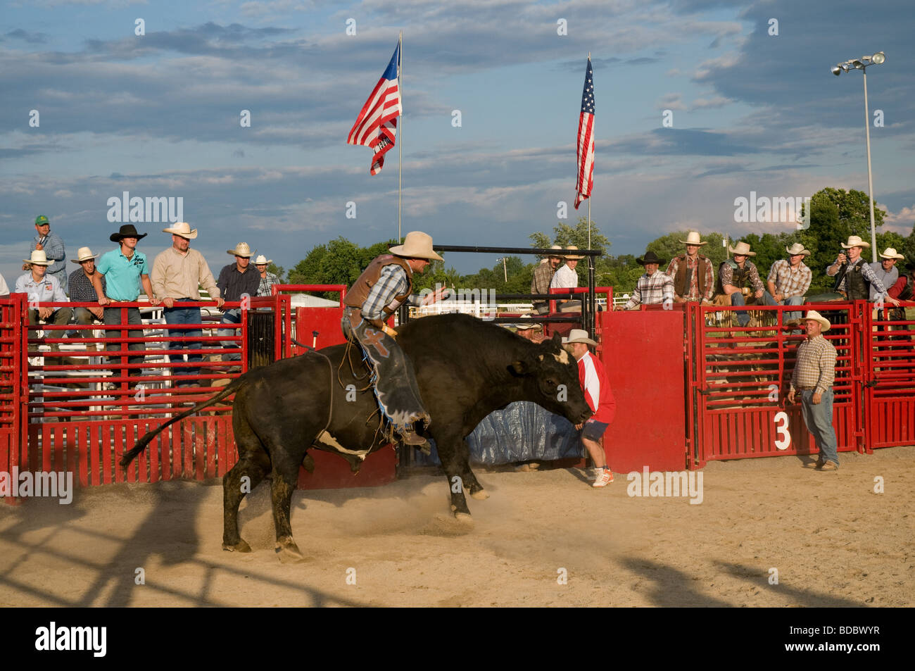 Bull riding in Franklin County Fair, Hilliard, Ohio Foto Stock