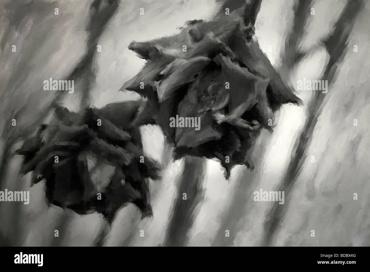 La morte - un disegno a carboncino di due rose morente Foto Stock