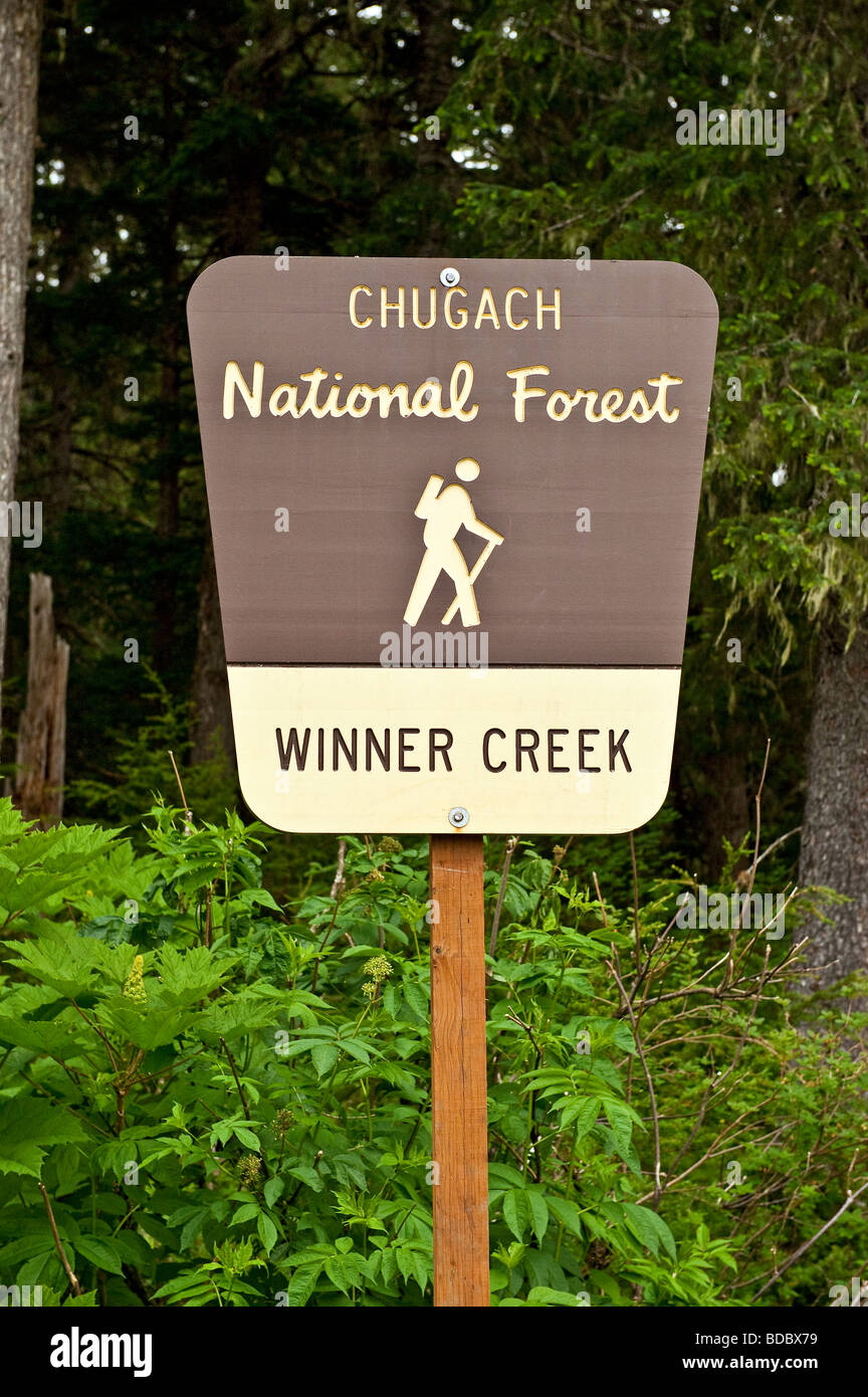 Sentiero escursionistico, vincitore Creek, Chugach National Forest, Alaska, STATI UNITI D'AMERICA Foto Stock